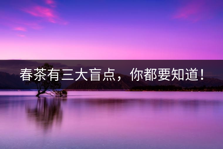 春茶有三大盲點，你都要知道！