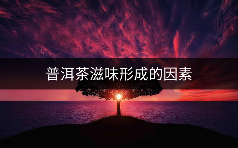 普洱茶滋味形成的因素