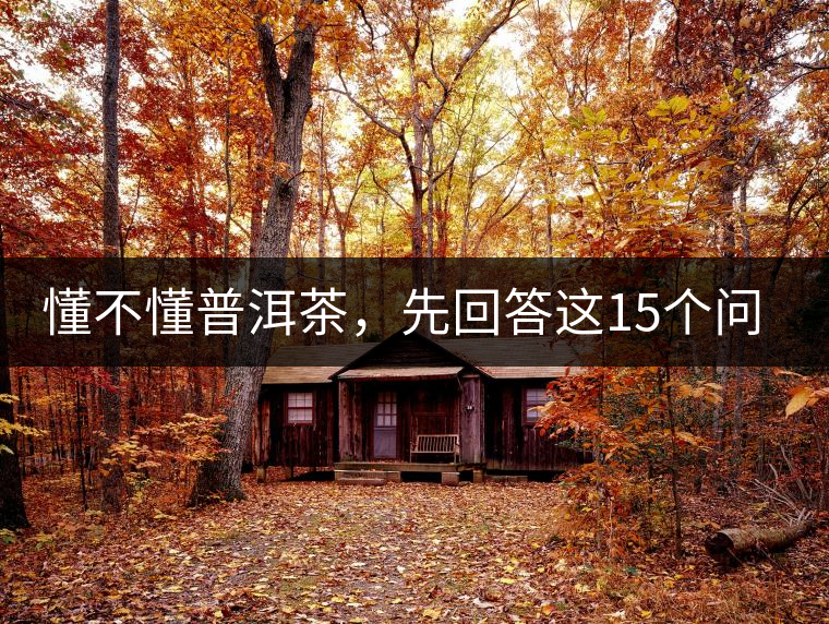 懂不懂普洱茶，先回答這15個(gè)問題試試？
