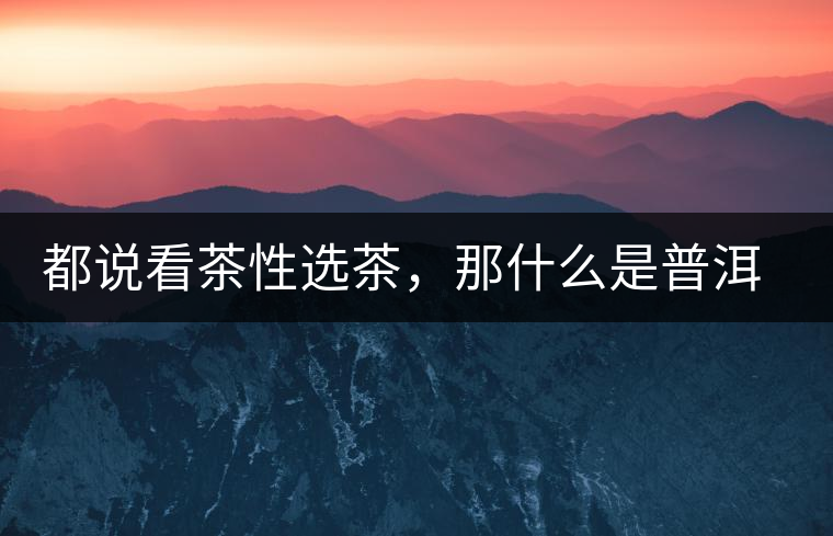 都說看茶性選茶，那什么是普洱茶的“茶性”呢？