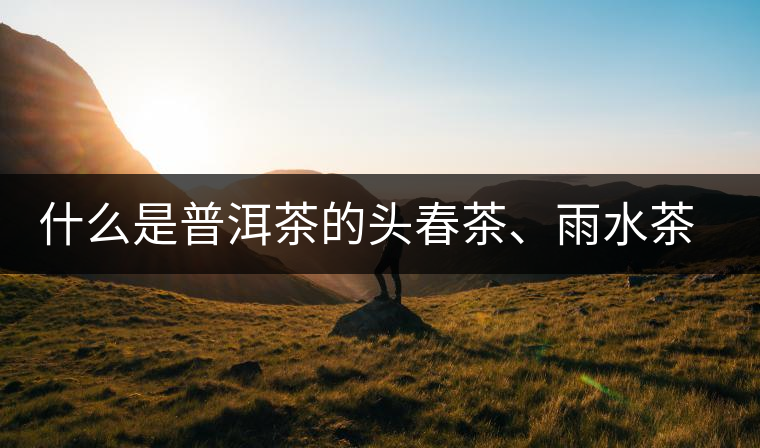 什么是普洱茶的頭春茶、雨水茶和谷花茶，怎樣區(qū)別？
