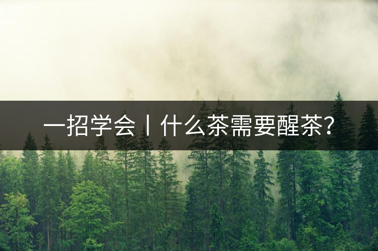 一招學(xué)會(huì)丨什么茶需要醒茶？