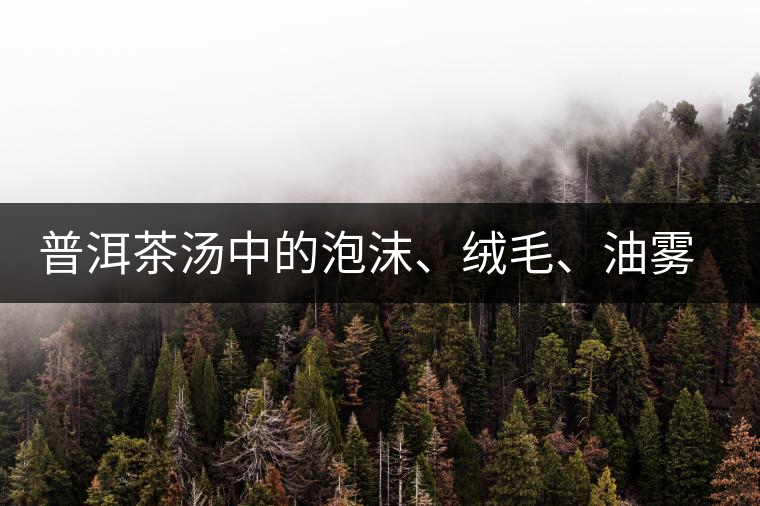 普洱茶湯中的泡沫、絨毛、油霧、絮狀物……原來是這些東西！