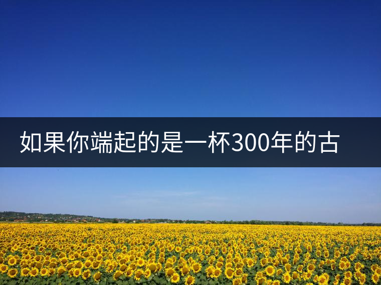 如果你端起的是一杯300年的古樹茶，那會(huì)是一種怎樣的心境？