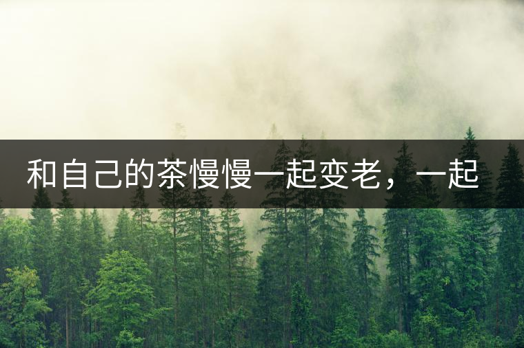 和自己的茶慢慢一起變老，一起變好