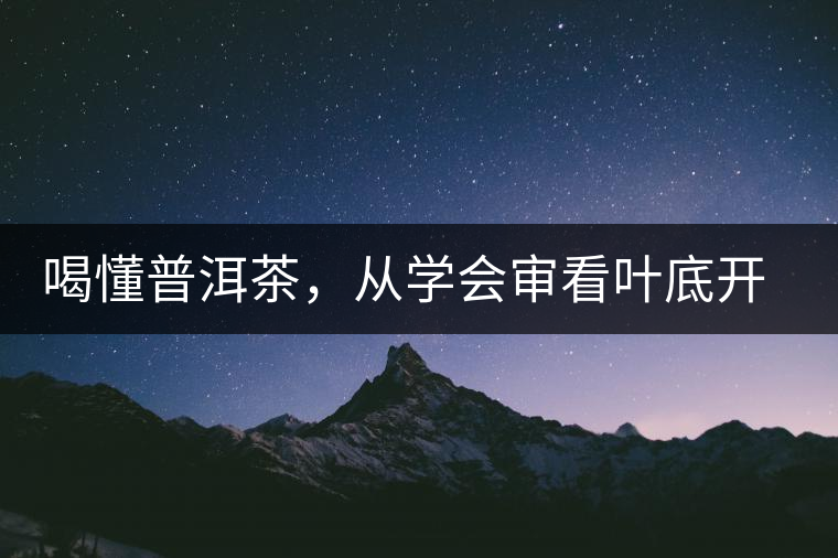 喝懂普洱茶，從學(xué)會(huì)審看葉底開始
