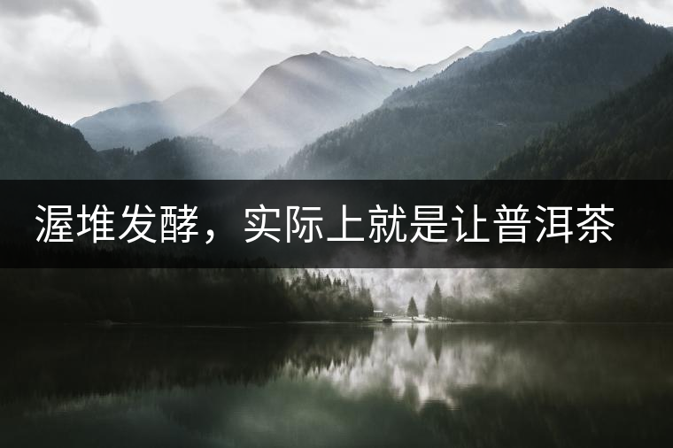 渥堆發(fā)酵，實(shí)際上就是讓普洱茶“發(fā)霉”