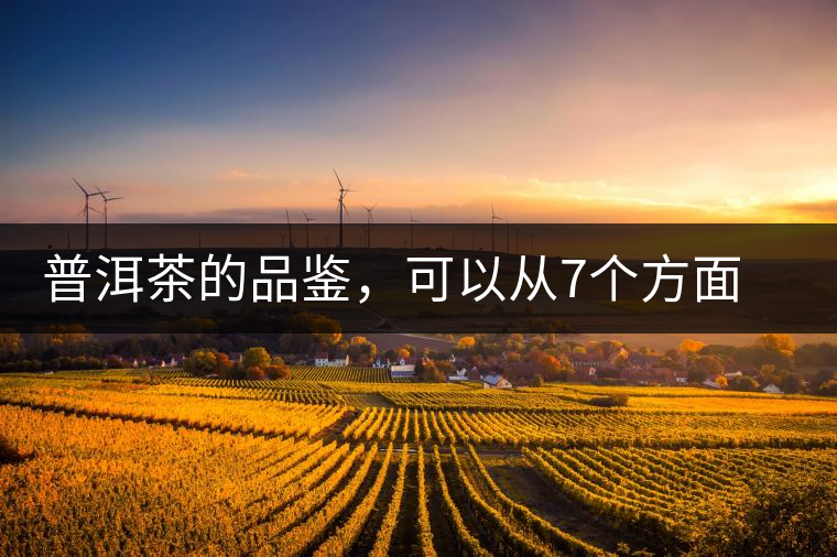 普洱茶的品鑒，可以從7個(gè)方面著手