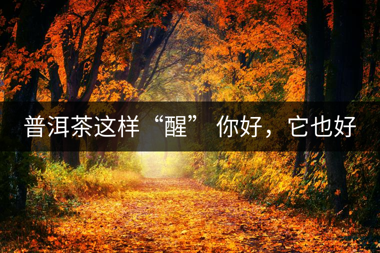 普洱茶這樣“醒” 你好，它也好