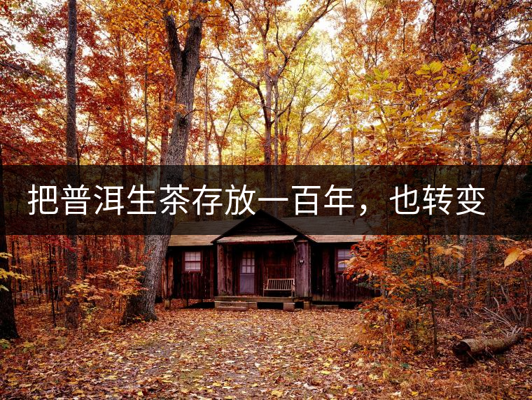 把普洱生茶存放一百年，也轉變不成熟茶