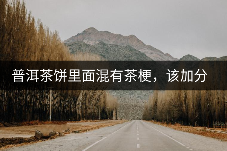 普洱茶餅里面混有茶梗，該加分還是減分？