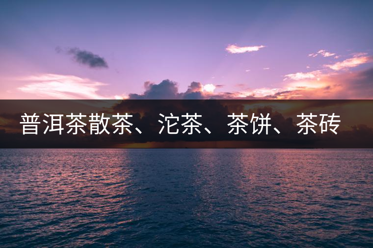 普洱茶散茶、沱茶、茶餅、茶磚哪種更好？