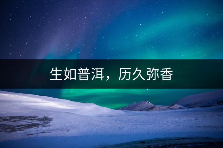 生如普洱，歷久彌香