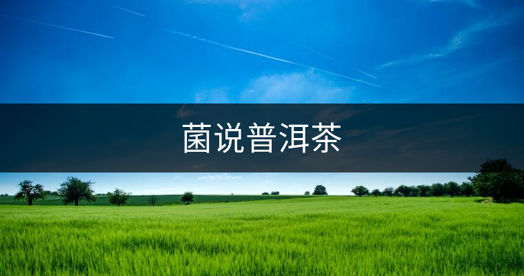 菌說普洱茶