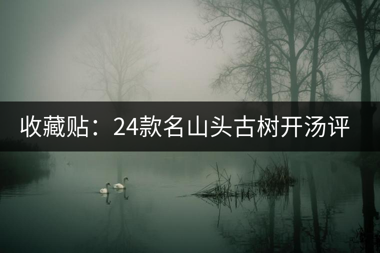 收藏貼:24款名山頭古樹開湯評測 收藏貼:24款名山頭古樹開湯評測