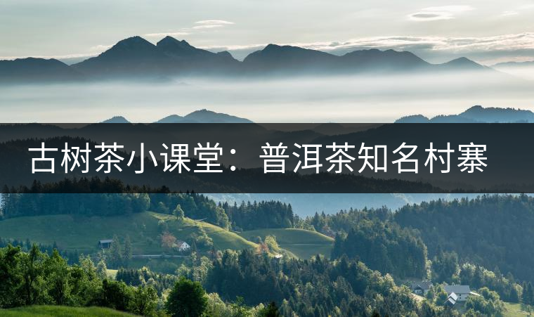 古樹(shù)茶小課堂：普洱茶知名村寨的生態(tài)環(huán)境如何？