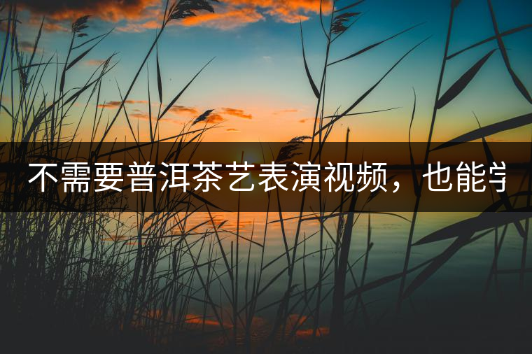 不需要普洱茶藝表演視頻，也能學會的茶藝！