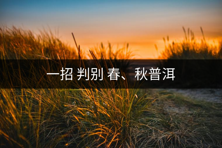 一招 判別 春、秋普洱