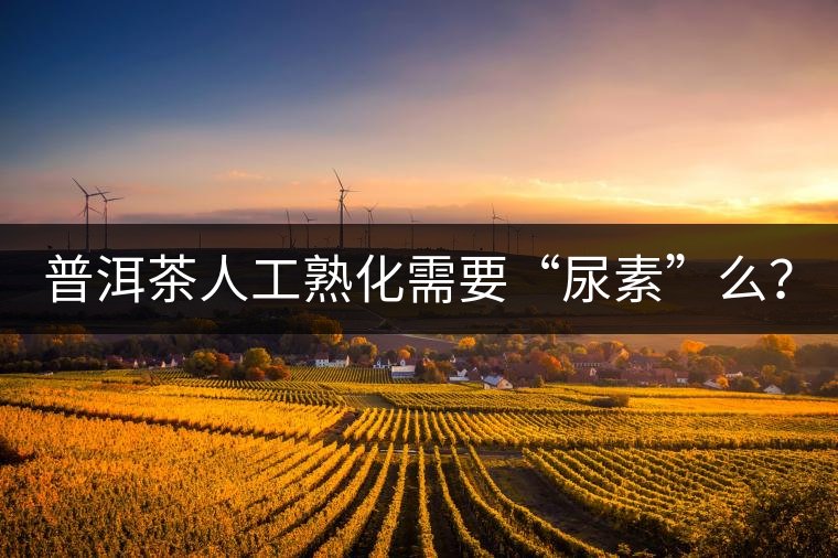 普洱茶人工熟化需要“尿素”么？