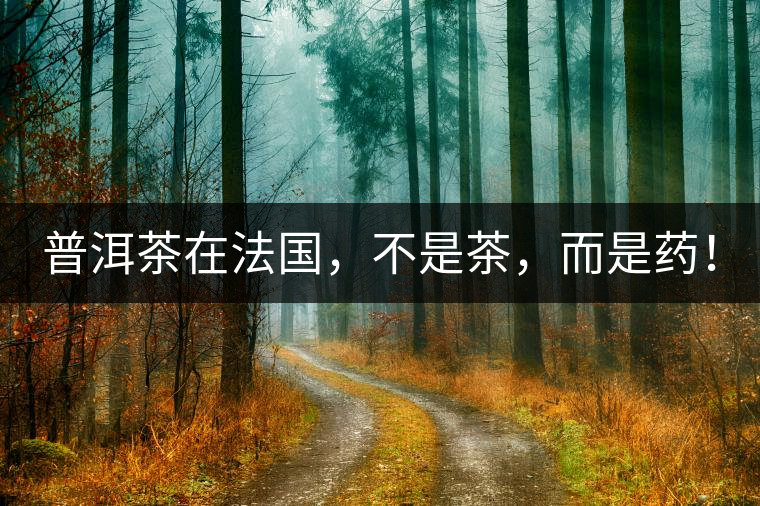 普洱茶在法國，不是茶，而是藥！