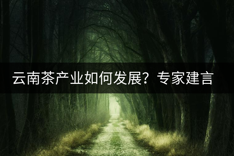 云南茶產(chǎn)業(yè)如何發(fā)展？專(zhuān)家建言：產(chǎn)業(yè)復(fù)興助脫貧