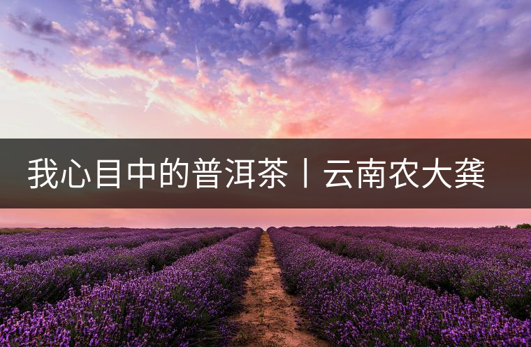 我心目中的普洱茶丨云南農(nóng)大龔加順教授解密普洱熟茶