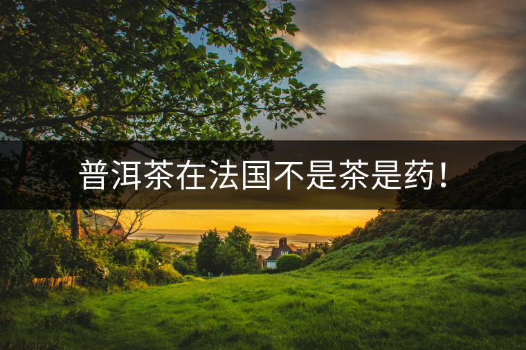 普洱茶在法國不是茶是藥！