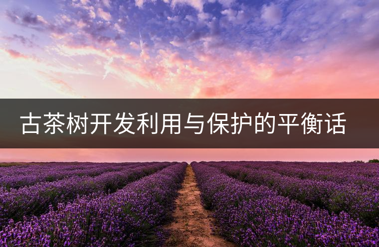 古茶樹(shù)開(kāi)發(fā)利用與保護(hù)的平衡話(huà)題再次引人關(guān)注