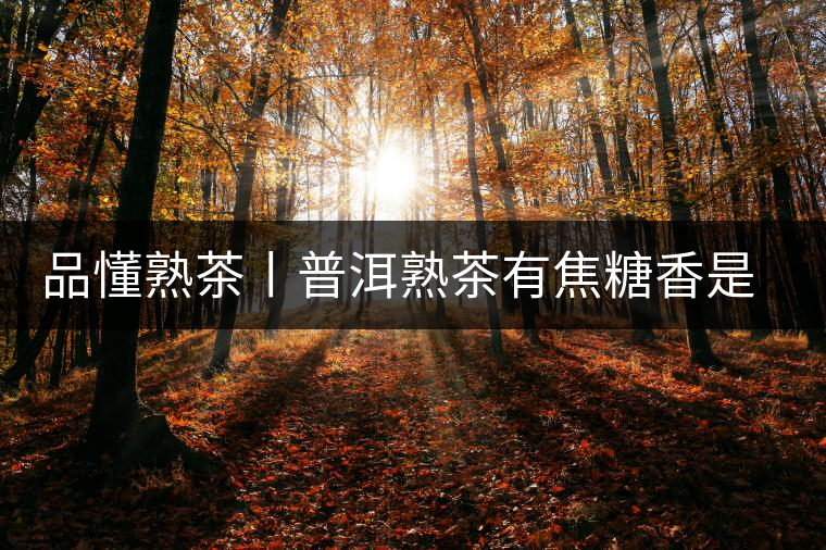 品懂熟茶丨普洱熟茶有焦糖香是好還是不好的表現(xiàn)？