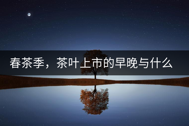 春茶季，茶葉上市的早晚與什么有關(guān)