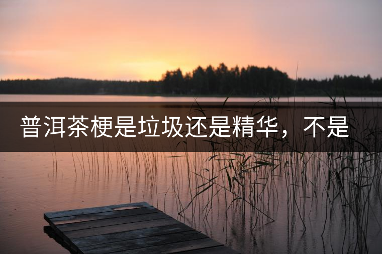 普洱茶梗是垃圾還是精華，不是一個人說的算