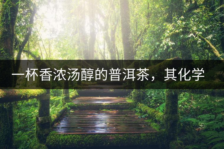 一杯香濃湯醇的普洱茶，其化學(xué)成分是怎樣的？
