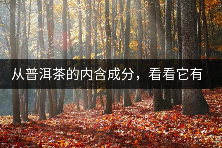 從普洱茶的內(nèi)含成分，看看它有什么功效？