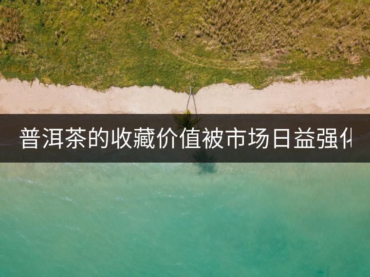 普洱茶的收藏價值被市場日益強化 藏家應冷靜看待