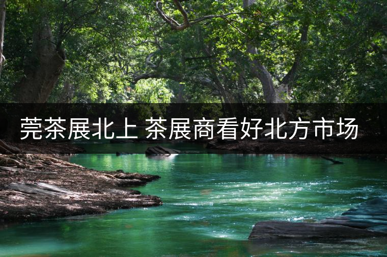 莞茶展北上 茶展商看好北方市場(chǎng)！