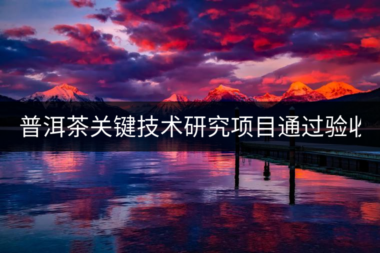 普洱茶關(guān)鍵技術(shù)研究項(xiàng)目通過(guò)驗(yàn)收 普洱茶發(fā)展再添力