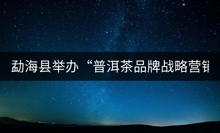 勐?？h舉辦“普洱茶品牌戰(zhàn)略營(yíng)銷專題講座”