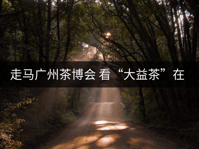 走馬廣州茶博會(huì) 看“大益茶”在傳承與創(chuàng)新中發(fā)展 走馬廣州茶博會(huì) 看“大益茶”在傳承與創(chuàng)新中發(fā)展