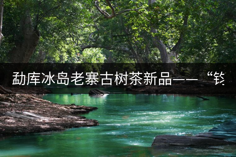 勐庫冰島老寨古樹茶新品——“鈞翔號”