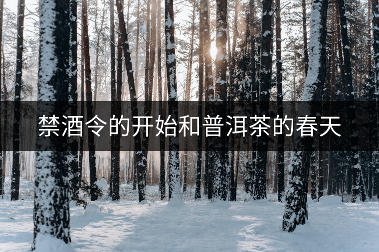 禁酒令的開(kāi)始和普洱茶的春天