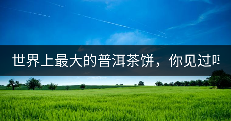 世界上最大的普洱茶餅，你見過嗎？