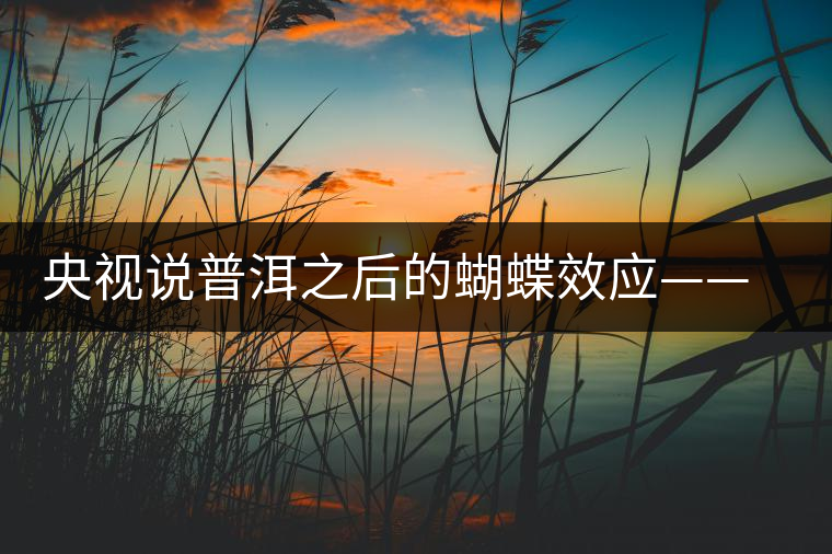 央視說普洱之后的蝴蝶效應(yīng)——過度開采會(huì)出現(xiàn)“死循環(huán)”？