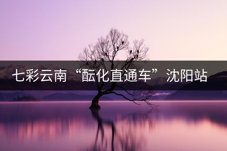 七彩云南“醞化直通車(chē)”沈陽(yáng)站現(xiàn)場(chǎng)多款經(jīng)典茶品獲好評(píng) 七彩云南“醞化直通車(chē)”沈陽(yáng)站現(xiàn)場(chǎng)多款經(jīng)典茶品獲好評(píng)