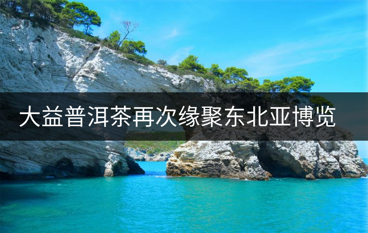 大益普洱茶再次緣聚東北亞博覽會(huì) 大益普洱茶再次緣聚東北亞博覽會(huì)