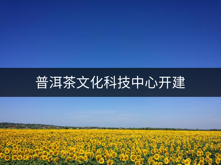 普洱茶文化科技中心開建