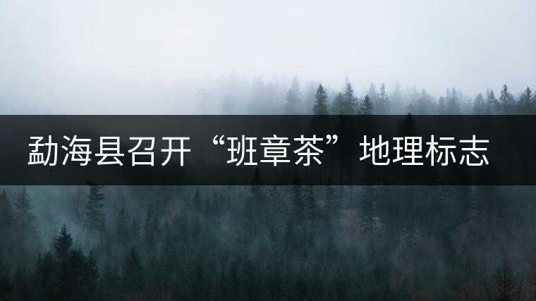 勐海縣召開“班章茶”地理標(biāo)志認(rèn)證評(píng)審會(huì)