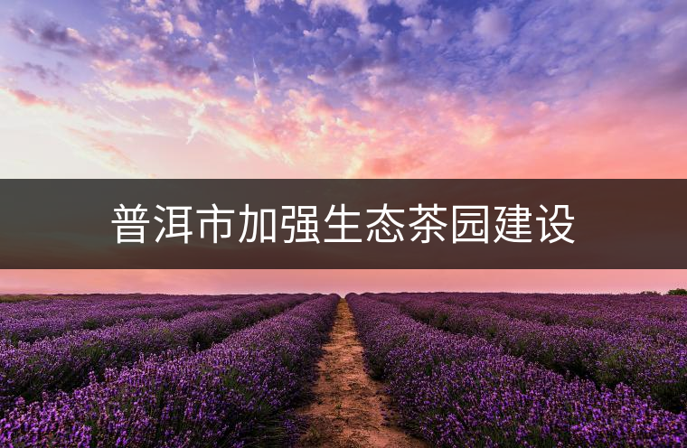 普洱市加強(qiáng)生態(tài)茶園建設(shè)