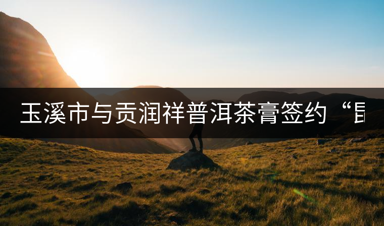 玉溪市與貢潤祥普洱茶膏簽約“昆交會(huì)”