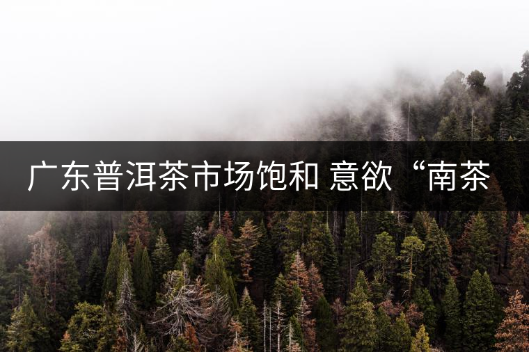 廣東普洱茶市場(chǎng)飽和 意欲“南茶北銷(xiāo)”