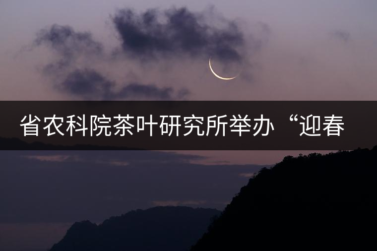 省農(nóng)科院茶葉研究所舉辦“迎春節(jié)、慶元旦”籃球聯(lián)誼賽